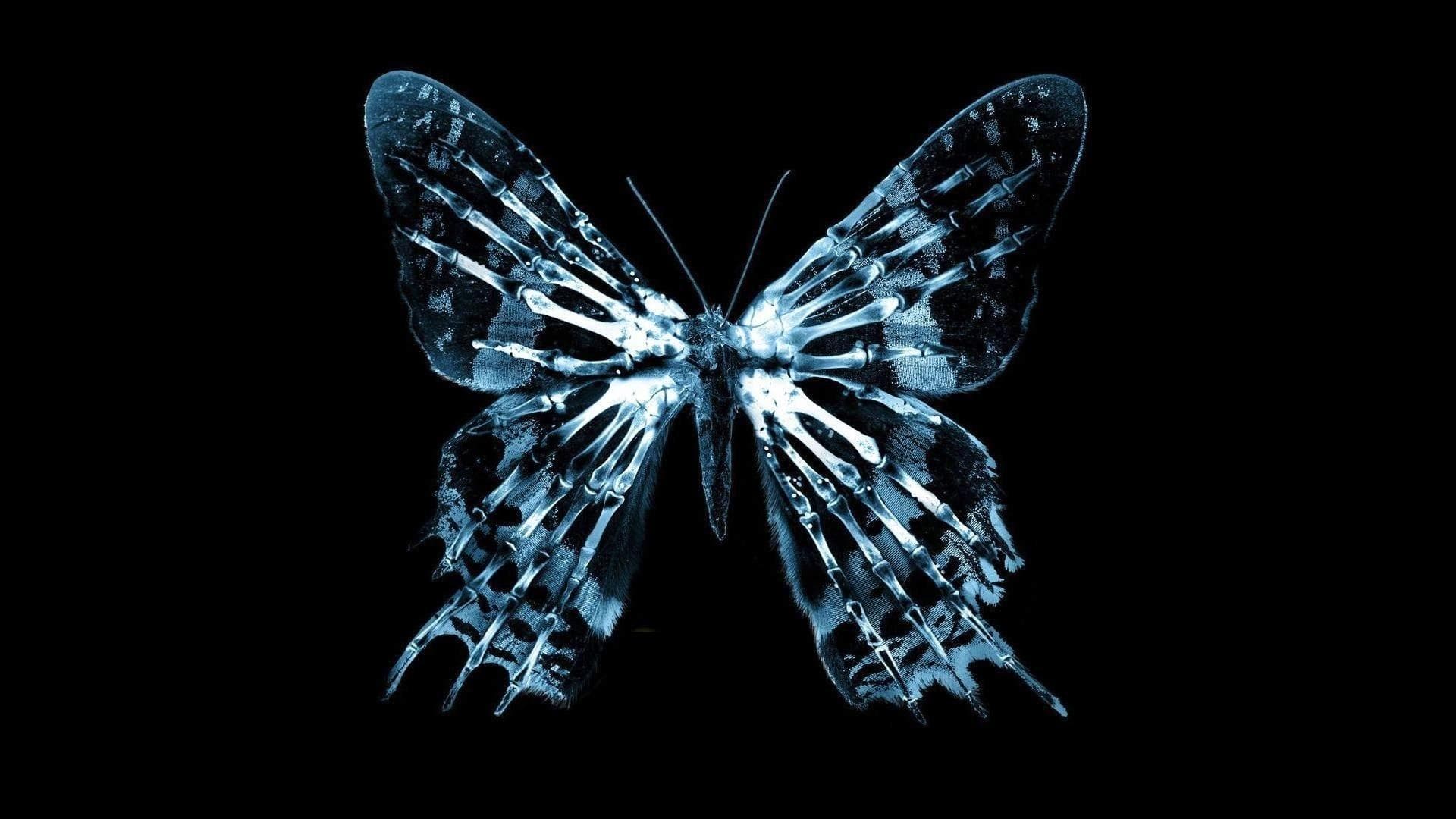 The Butterfly Effect Collection