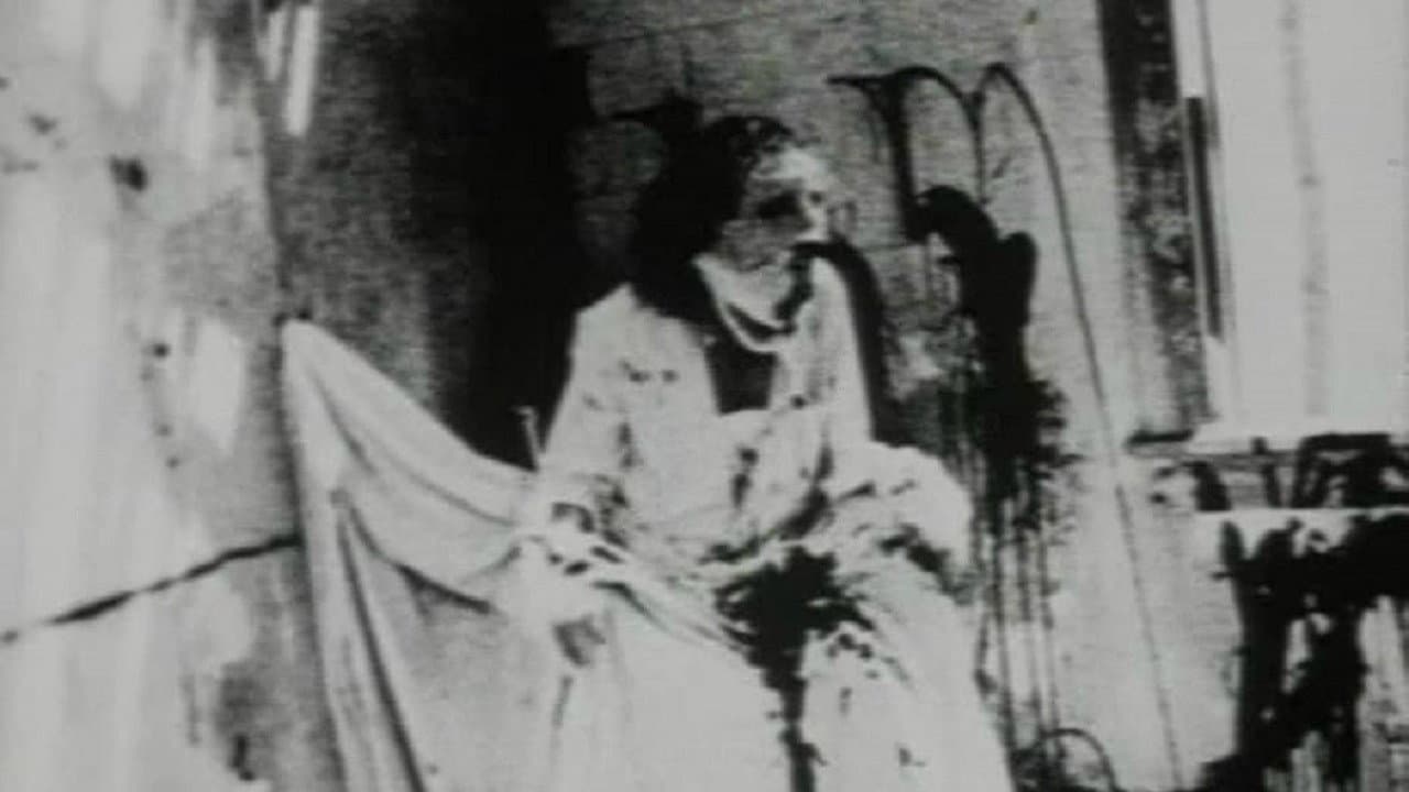 The Begotten Cycle