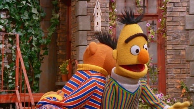 Bert and Ernie's Opposite Day