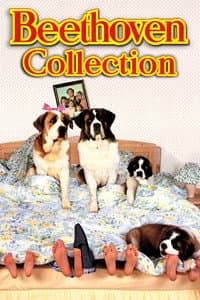 Beethoven Collection