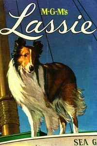 Lassie Collection