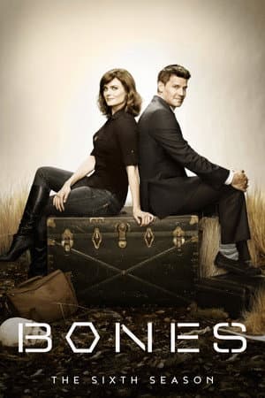 Season 6