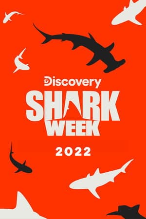 2022