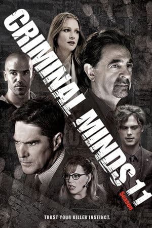 Season 11