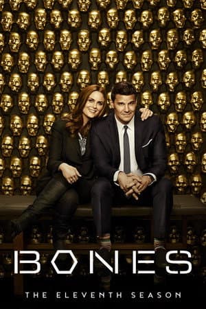 Season 11