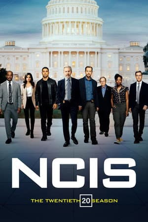 Season 20