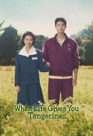 Limited Series