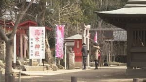 Valentine's Day at the Shrine