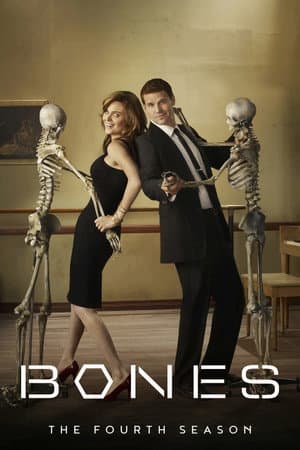 Season 4