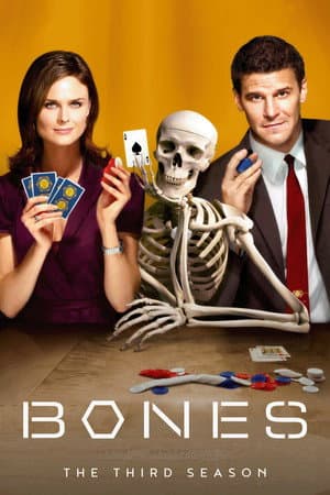 Season 3