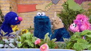 Sesame Street's Lost And Found