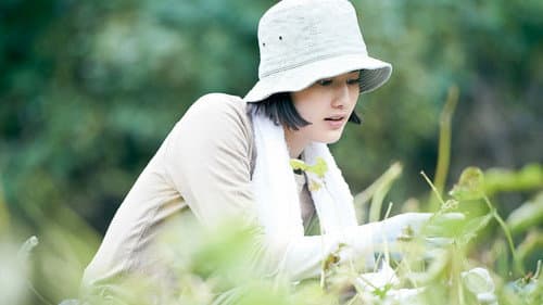 Production update: Little Forest: Summer/Autumn