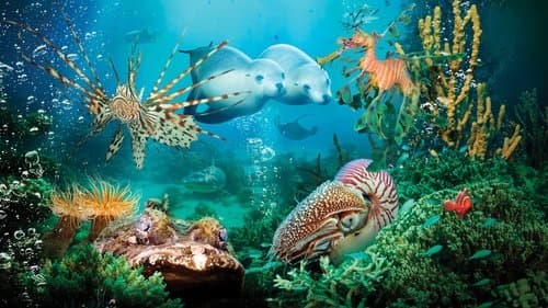 Watch Under the Sea 3D