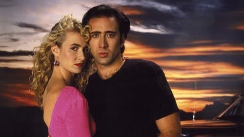 Production update: Wild at Heart
