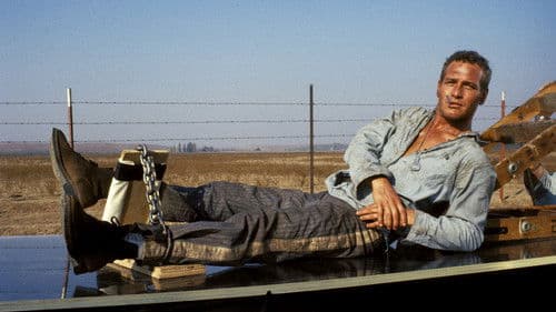 Watch Cool Hand Luke