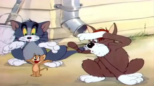 Watch Sufferin' Cats!