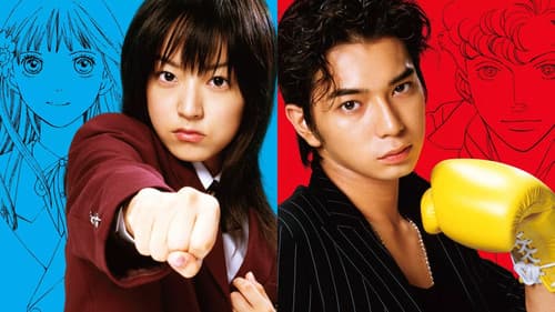 Watch BOYS OVER FLOWERS