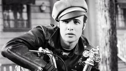 Production update: The Wild One