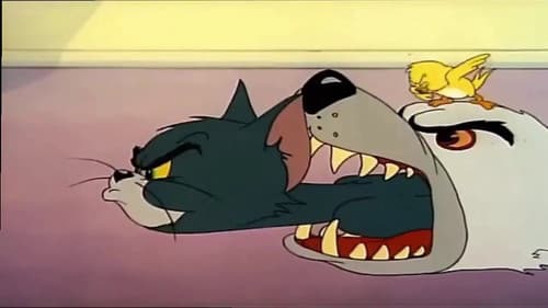 Watch Kitty Foiled