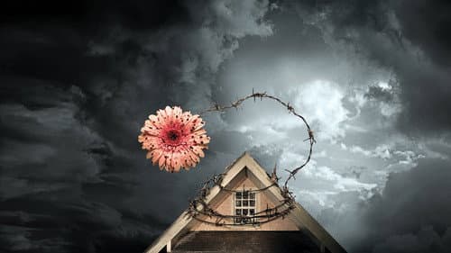 Watch Petals on the Wind