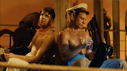 Watch Querelle