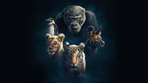 Watch Dynasties