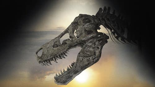 Watch Dinosaur 13
