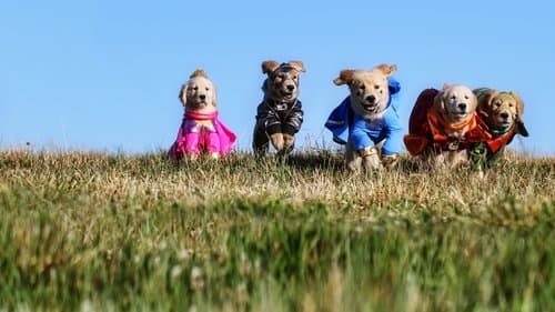 Watch Super Buddies