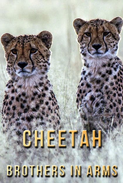Cheetah Brothers in Arms