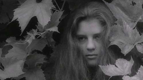 Watch Alice in Wonderland