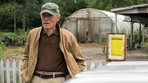 Watch The Mule