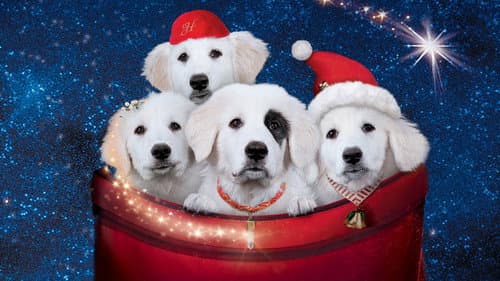 Production update: Santa Paws 2: The Santa Pups