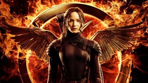 Watch The Hunger Games: Mockingjay - Part 1