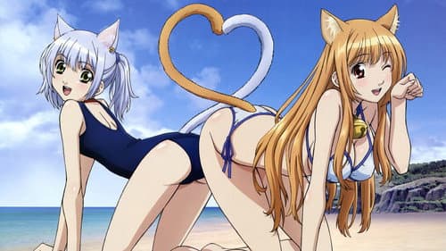 Watch Cat Planet Cuties