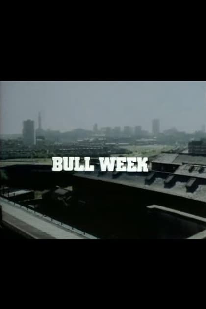 Bull Week