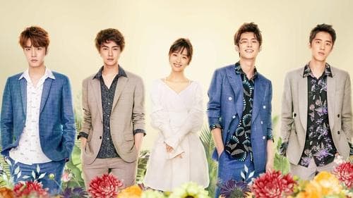 Watch Meteor Garden