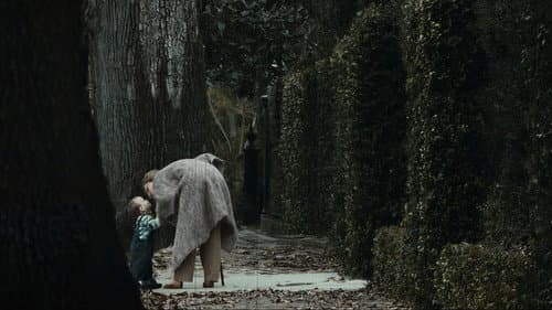 Watch The Curious Birth of Benjamin Button