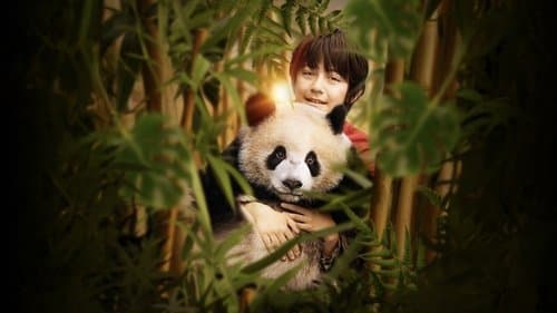 Watch Moon the Panda