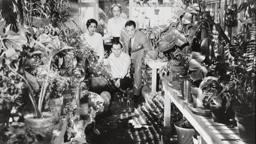Watch Invasion of the Body Snatchers