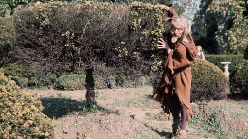 Watch Catweazle