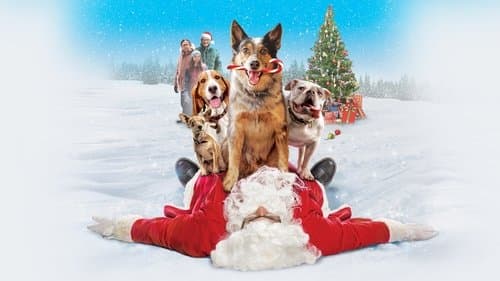 Watch Pups Alone
