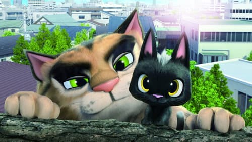 Production update: Rudolf the Black Cat