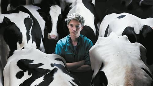 Watch Bloody Milk
