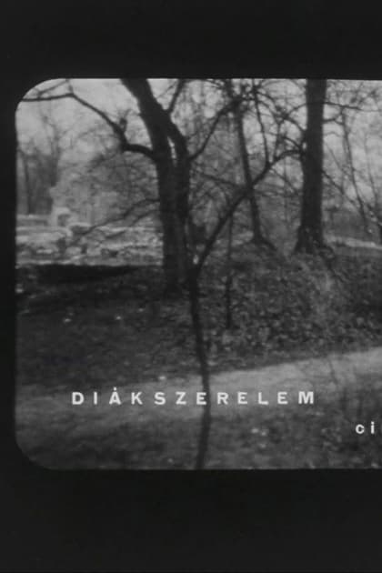 Diákszerelem