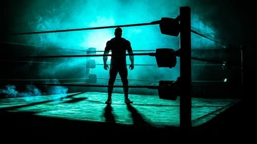 Production update: Dark Side of the Ring