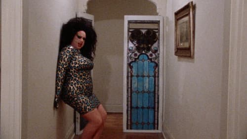 Watch Female Trouble