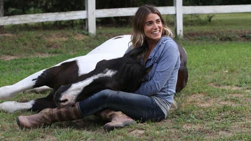 Production update: A Sunday Horse