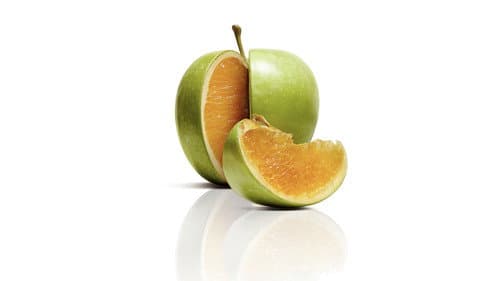 Watch Freakonomics