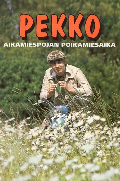 Pekko aikamiespojan poikamiesaika