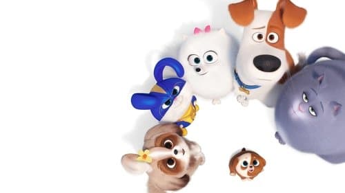 Watch The Secret Life of Pets 2